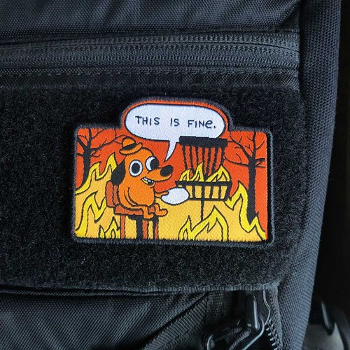 Disc golf pins this fine - disc,
